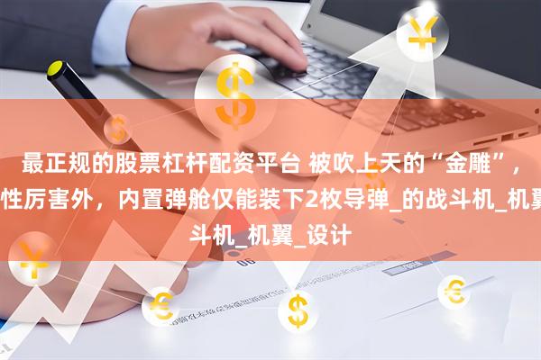 最正规的股票杠杆配资平台 被吹上天的“金雕”，除机动性厉害外，内置弹舱仅能装下2枚导弹_的战斗机_机翼_设计