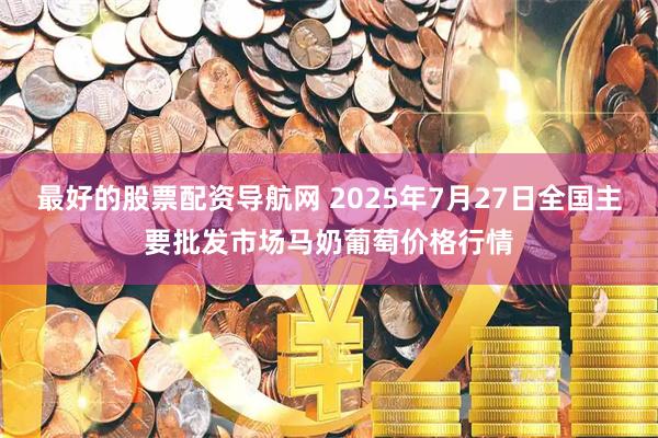 最好的股票配资导航网 2025年7月27日全国主要批发市场马奶葡萄价格行情
